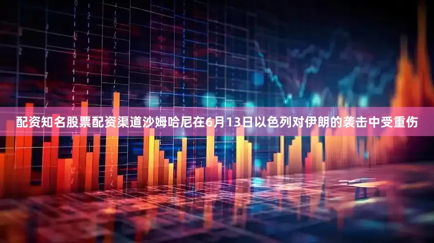 配资知名股票配资渠道沙姆哈尼在6月13日以色列对伊朗的袭击中受重伤