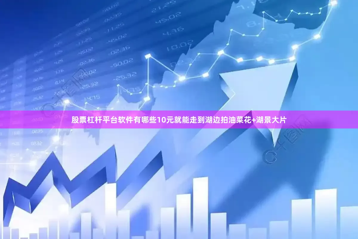 股票杠杆平台软件有哪些10元就能走到湖边拍油菜花+湖景大片