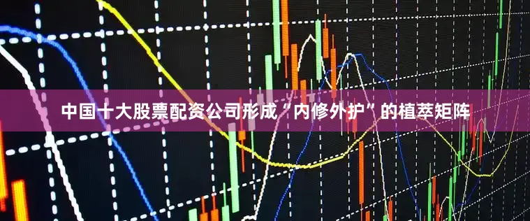 中国十大股票配资公司形成“内修外护”的植萃矩阵