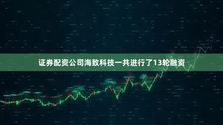 证券配资公司海致科技一共进行了13轮融资