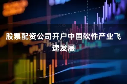 股票配资公司开户中国软件产业飞速发展